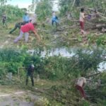 Pohon Tumbang Hadang Jalan, Kebersamaan Babinsa dan Warga Jadi Solusi