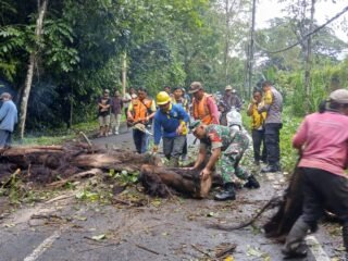 Gerak Cepat Babinsa Evakuasi Pohon Tumbang di Jalan Raya Desa Bayung Gede