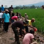 Semangat Kemanunggalan TNI dan Rakyat Warnai Hari Pertama TMMD 127