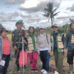 Komitmen TNI Tingkatkan Hanpangan Dan Kesejahteraan Petani, Babinsa Manduang Bersama PPL Lakukan Ubinan Di Subak Manduang