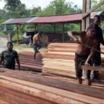 Semangat Gotong Royong Warnai Pergeseran Kayu dari Somel Solata ke Kampung Sisir 1