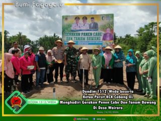 Dandim 1512/Weda beserta Ketua Persit KCK Cabang XL Menghadiri Gerakan Penen Cabe Dan Tanam Bawang Di Desa Wairoro