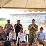 Dandim 1420 dan Bupati Panen Raya Padi Tadah Hujan, Targetkan Stok Pangan Nasional