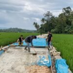 Tak Kenal Lelah, Puasa Bukan Penghalang Pekerjaan Rabat Beton