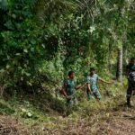 Kodim 1804/Kaimana Genjot Pembukaan Akses Jalan di Marsi, Progres TMMD 127 Tembus 75 Persen