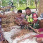 Babinsa Koramil 02/Walakaka Komsos Bersama Petani di Desa Pahola