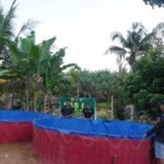 TMMD 127 Kodim 1015/Sampit Wujudkan Kemandirian Pangan Lewat Budidaya Ikan