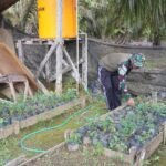 Di Sela Sela Istirahat Satgas TMMD Reguler ke-127 Kodim 1015/Sampit Komsos Dengan Petani Sayuran