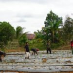 TMMD Reguler ke-127 Dorong Produktivitas Warga Lewat Budidaya Hortikultura