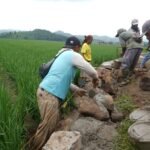 Talud TMMD ke-127 Kodim 0421/LS Perkuat Ketahanan Infrastruktur Desa