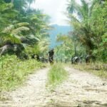 Satgas TMMD 127 Kodim 1804/Kaimana Lanjutkan Pembukaan Akses Jalan Kampung Marsi, Progres 84 Persen