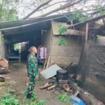 Babinsa Kayubihi Cek Pohon Tumbang Timpa Kandang Ayam di Banjar Kayang