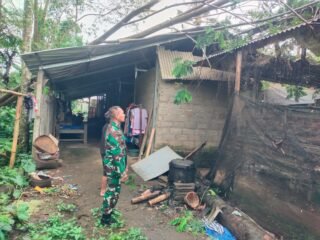 Babinsa Kayubihi Cek Pohon Tumbang Timpa Kandang Ayam di Banjar Kayang