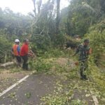 Gerak Cepat Babinsa dan Tim Gabungan Tangani Pohon Tumbang di Jalur Wisata Religi Pura Luhur Batukau
