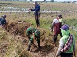 Dukung Ketahanan Pangan, Babinsa Koramil 1420-02/Tellu Limpoe Bersama Petani Bersihkan Irigasi di Baula