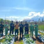 Turun ke Lapangan, Dandim 1612/Manggarai Pastikan Program Ketahanan Pangan Berjalan Maksimal