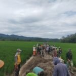 Antusiasme Warga Tetap Membara, Puasa Tak Surutkan Semangat Bangun Rabat Beton