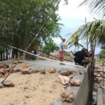 Presisi di Setiap Detail: Satgas TMMD 127 Rakit Cetakan Sandaran Jembatan Sambuli