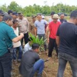 Danramil 06/Teunom Wakili Dandim Hadiri Tanam Perdana Sawit Eks Kombatan