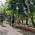 Woyla Bergeliat, Infrastruktur Desa Diperkuat