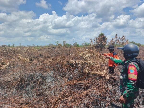 Pastikan Situasi Kondusif, Babinsa Koramil 1203-13/MHS Laksanakan Groundcheck Lokasi Kebakaran di Desa Pesaguan Kanan