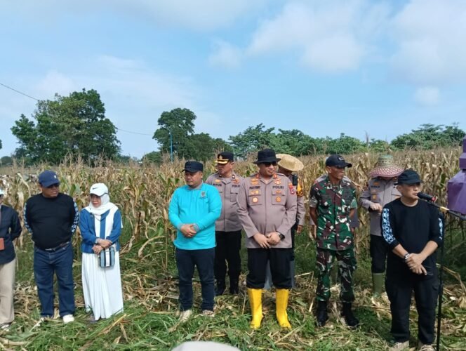 
Babinsa Aktif Dampingi Petani dalam Program Swasembada Pangan Nasional