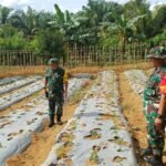 Tim Wasev Kodam XXII/Tambun Bungai Tinjau Langsung Progres Fisik TMMD ke-127