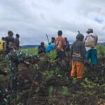 Bersama Warga, TNI Bangun Ketahanan Pangan: Pos Parim Yonif 751/VJS Berkebun dan Makan Bersama Penuh Kebersamaan