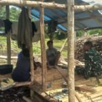 Babinsa Hadir di Tengah Petani, Berikan Motivasi dan Pendampingan