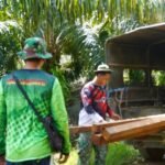 Material Kayu Ulin Tiba, Satgas TMMD 127 Siap Bangun Jembatan Akses Perkebunan