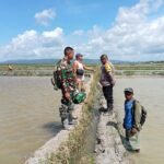Demi Ketahanan Pangan, Babinsa dan Polisi Bersama Warga Benahi Saluran Air Sawah