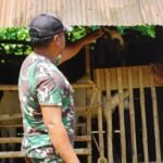 Satgas TMMD 127 Kodim 1015/Sampit Lakukan Komsos Bersama Warga Desa Tri Buana