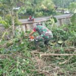 Wujud Kepedulian TNI Ditengah Masyarakat, Babinsa Sigap Evakuasi Pohon Tumbang Timpa Rumah Warga