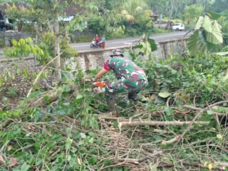 Wujud Kepedulian TNI Ditengah Masyarakat, Babinsa Sigap Evakuasi Pohon Tumbang Timpa Rumah Warga