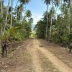 Progres Pembukaan Jalan TMMD 127 di Kampung Marsi Capai 99 Persen, Dansatgas Pastikan Kualitas Pekerjaan