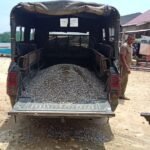 Percepat Pembangunan TMMD 127, Satgas Kodim 1417/Kendari Optimalkan Mobilisasi Material