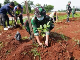 TMMD ke-127: Sinergi Kodim 0508/Depok dan DLHK Percantik Kawasan UIII dengan Penanaman Pohon