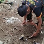 Aksi Nyata TNI di Depok: Renovasi Tiga Rumah Tak Layak Huni di Cilodong Segera Tuntas