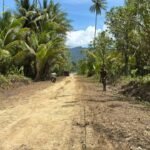 Satgas TMMD 127 Kodim 1804/Kaimana Laksanakan Penyemprotan Rumput di Akses Jalan Kampung Marsi