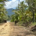 Dipimpin Letda Inf Imanuel Giay, Satgas TMMD 127 Kaimana Bersihkan Akses Jalan dari Rumput Liar