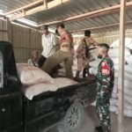 Babinsa Koramil 1621-05/Panite Kawal Penyaluran 75 Ton Pupuk Urea di Desa Bena, Pastikan Hak Petani Tepat Sasaran