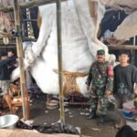 Babinsa Desa Tiga Komsos dengan STT Asti Dharma Kerthi Saat Pembuatan Ogoh-Ogoh Jelang Hari Raya Nyepi