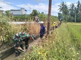 Tingkatkan Kelancaran Pengairan, Babinsa Padangloang Alau Bersama Warga Bersihkan Saluran Irigasi