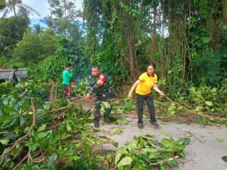 Babinsa Getakan Bersama Petugas Gabungan Gotong Royong Pemangkasan Ranting Pohon