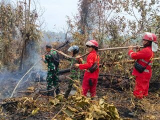 Babinsa Koramil 1201-02/Sungai Pinyuh Berjibaku Memadamkan Api Karhutla