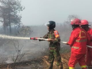 Babinsa Koramil 1201-02/Sungai Pinyuh Berjibaku Memadamkan Api Karhutla