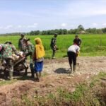 TMMD Ke-127 Kodim 0105/Abar Bangun Jalan, Ringankan Perjuangan Petani