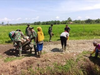 TMMD Ke-127 Kodim 0105/Abar Bangun Jalan, Ringankan Perjuangan Petani