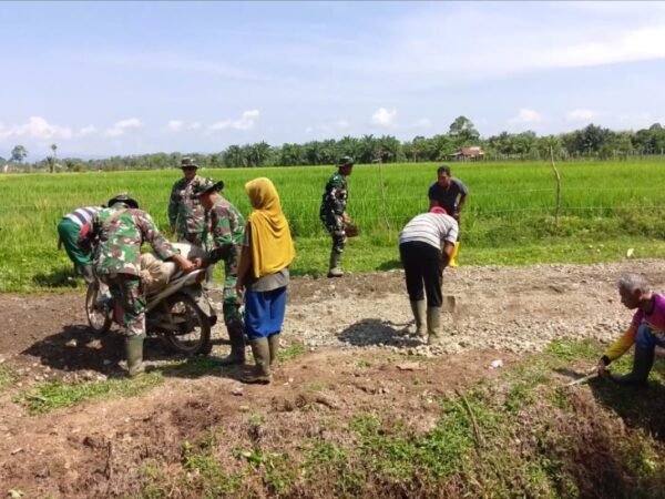 TMMD Ke-127 Kodim 0105/Abar Bangun Jalan, Ringankan Perjuangan Petani