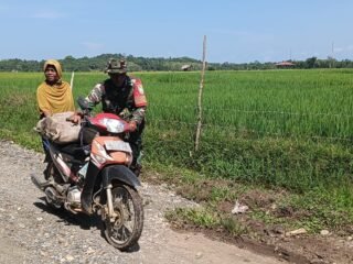 Loreng TMMD Ke-127 Kodim 0105/Abar Turun Ringankan Beban